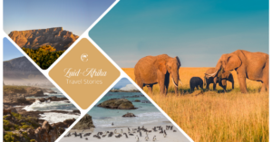 Zuid-Afrika | Travel Stories | Claudia Goes Abroad