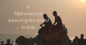 Rijden met een kameel in India | Reisinspiratie | Claudia Goes Abroad